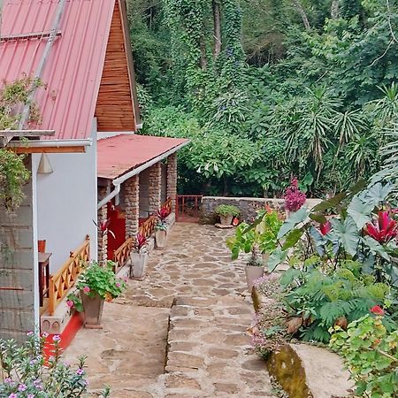 Mrefu Eco-Lodge Marangu المظهر الخارجي الصورة