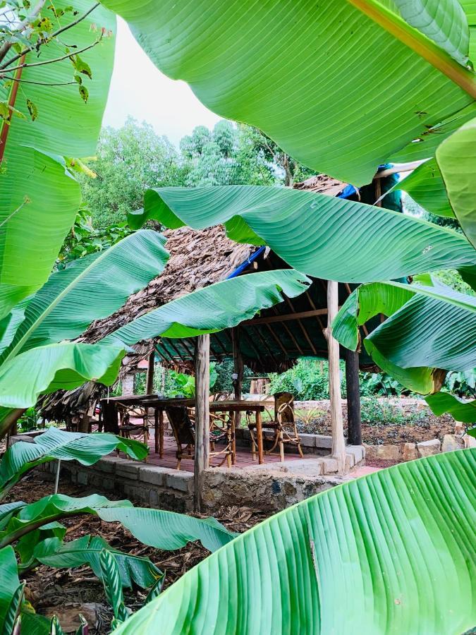 Mrefu Eco-Lodge Marangu المظهر الخارجي الصورة