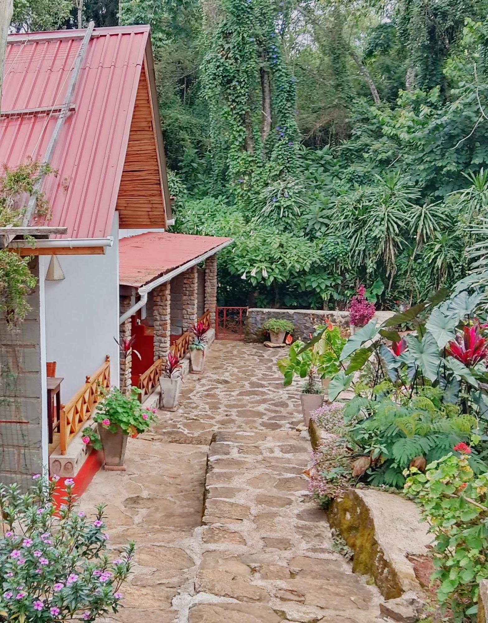 Mrefu Eco-Lodge Marangu المظهر الخارجي الصورة